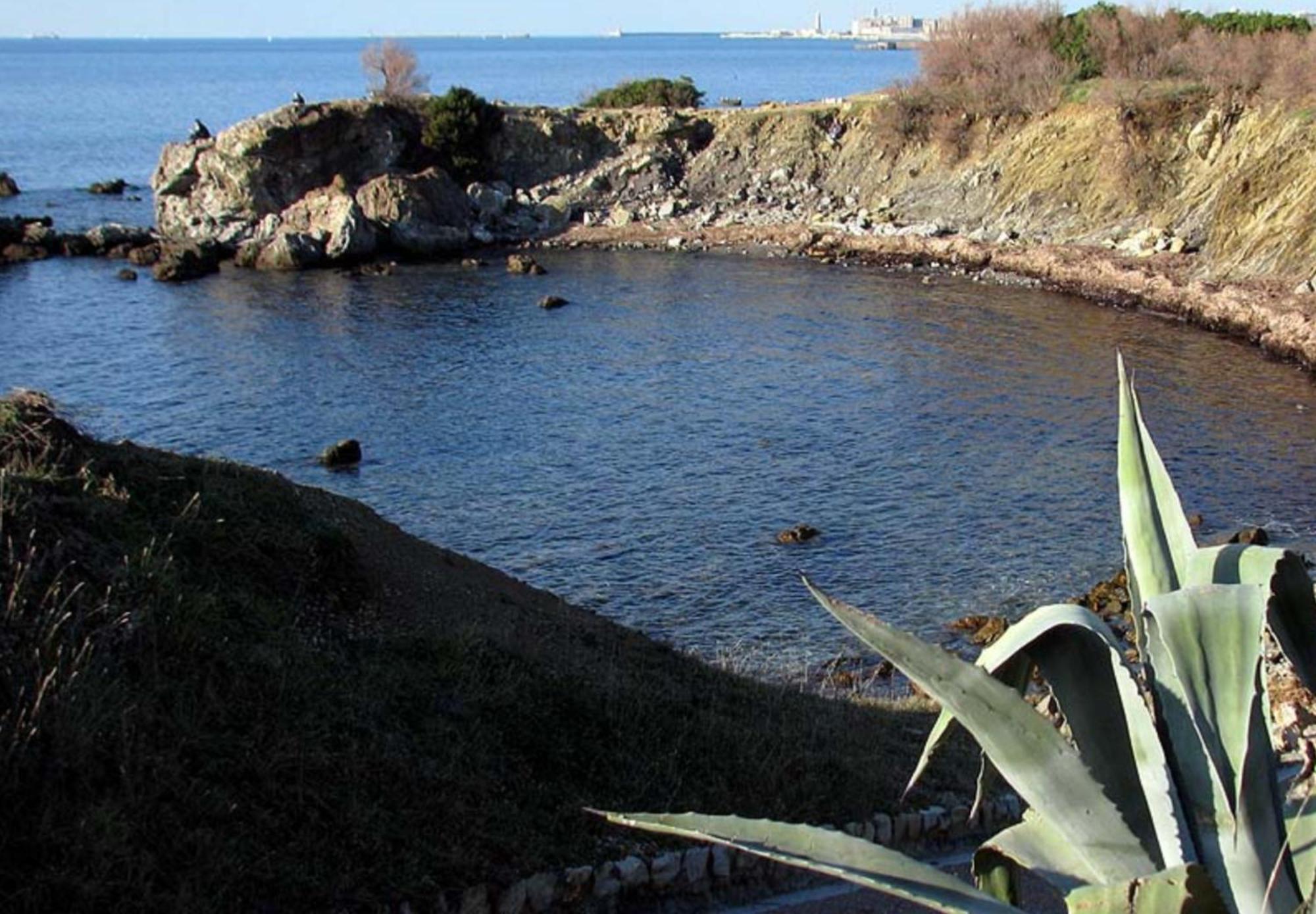 Appartamento A 100 Mt Dal Mare Ливорно Экстерьер фото